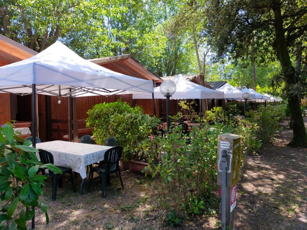 فندق ماسافي  Cabana Camp المظهر الخارجي الصورة
